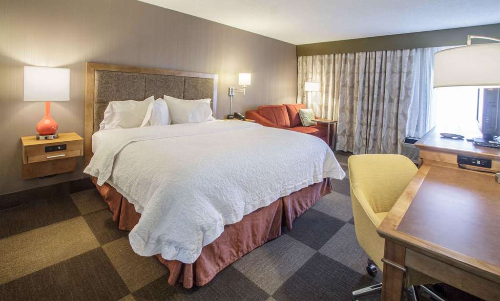 Hampton Inn South Haven Rum bild