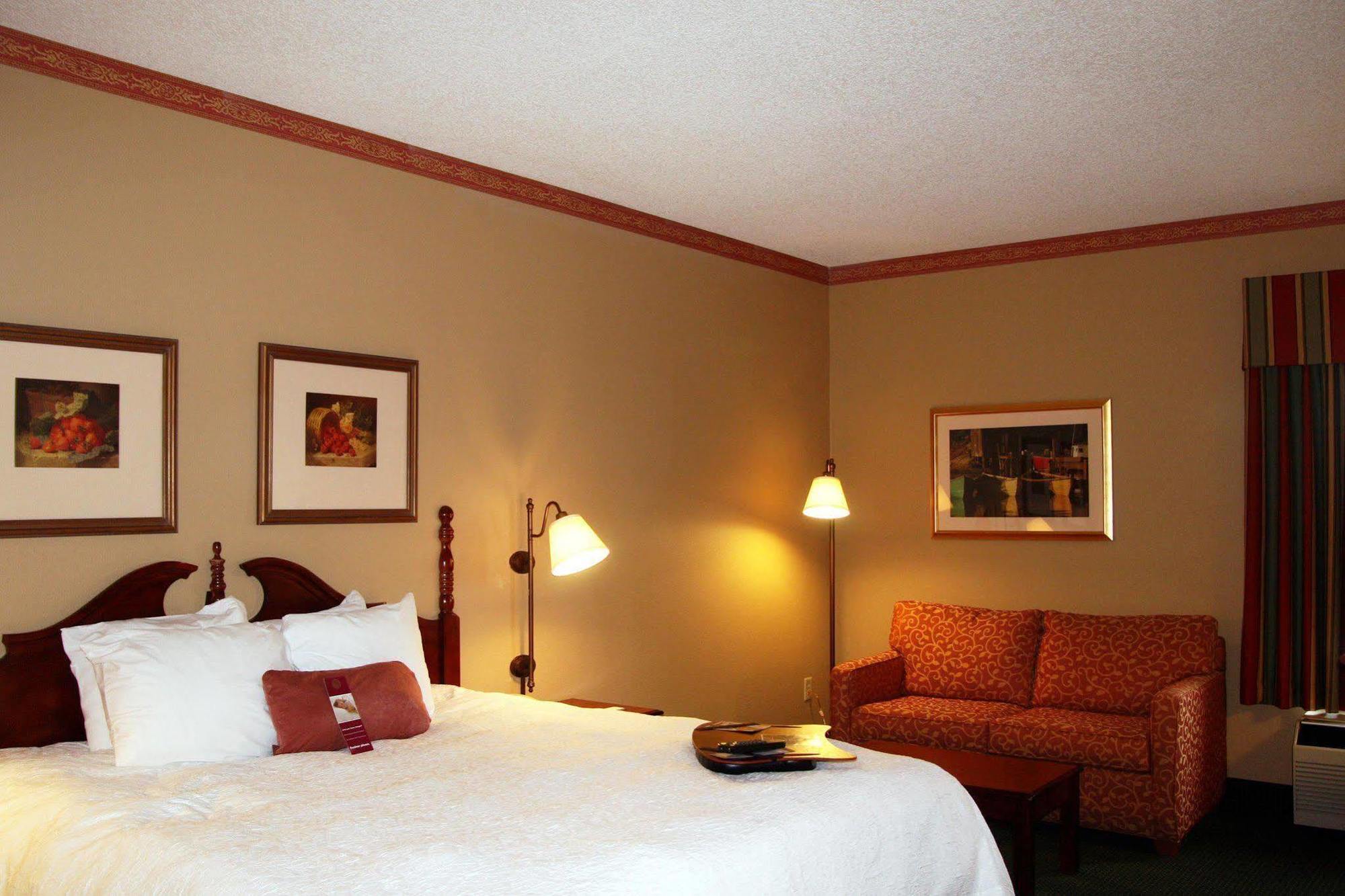 Hampton Inn South Haven Rum bild